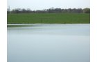 Property photo 5 - 188 Acres Offered in 5 Tracts